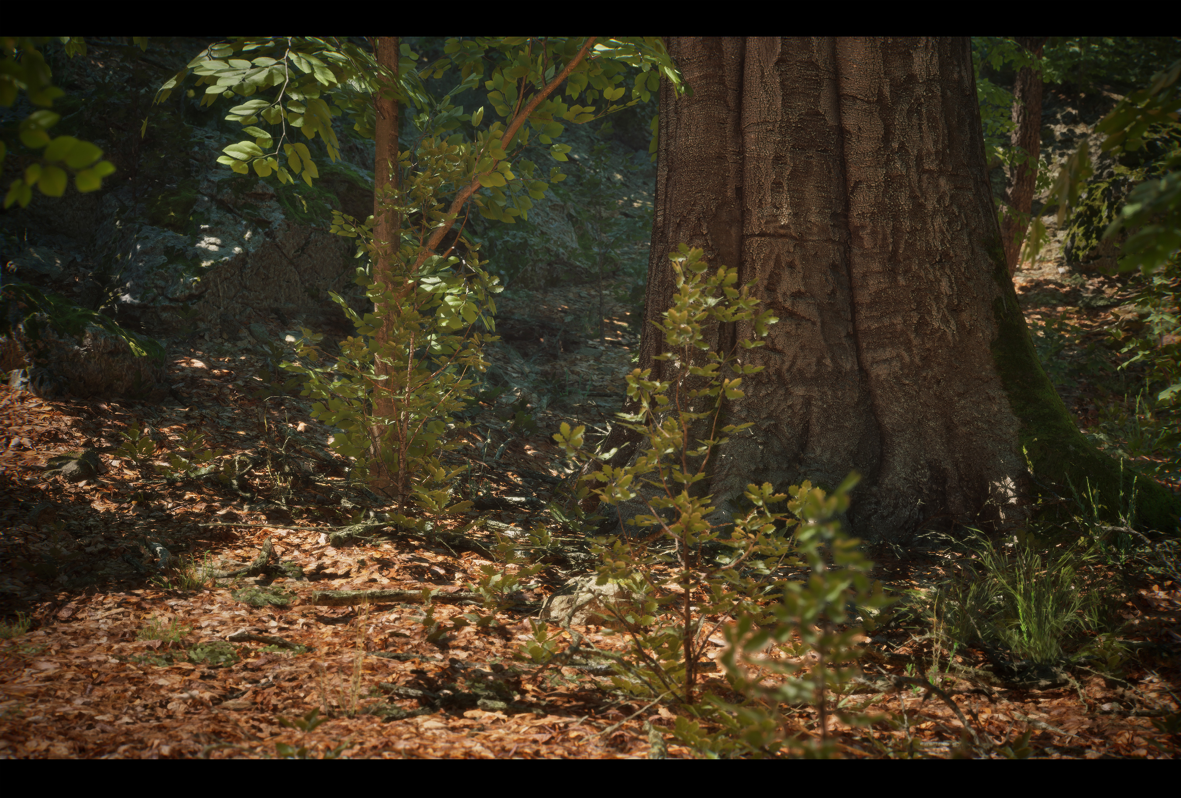 Forêt UE5